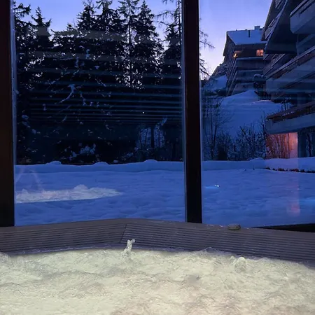 Appartement Ski *